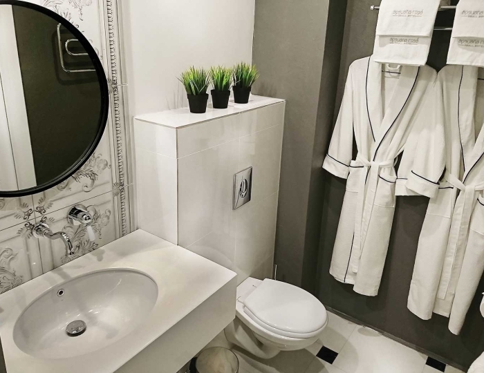 Ретро 2-местный с балконом или без балкона - Бутик-отель Apsuana Rose Гагра